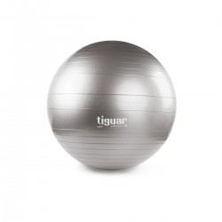 Gym Balls Tiguar